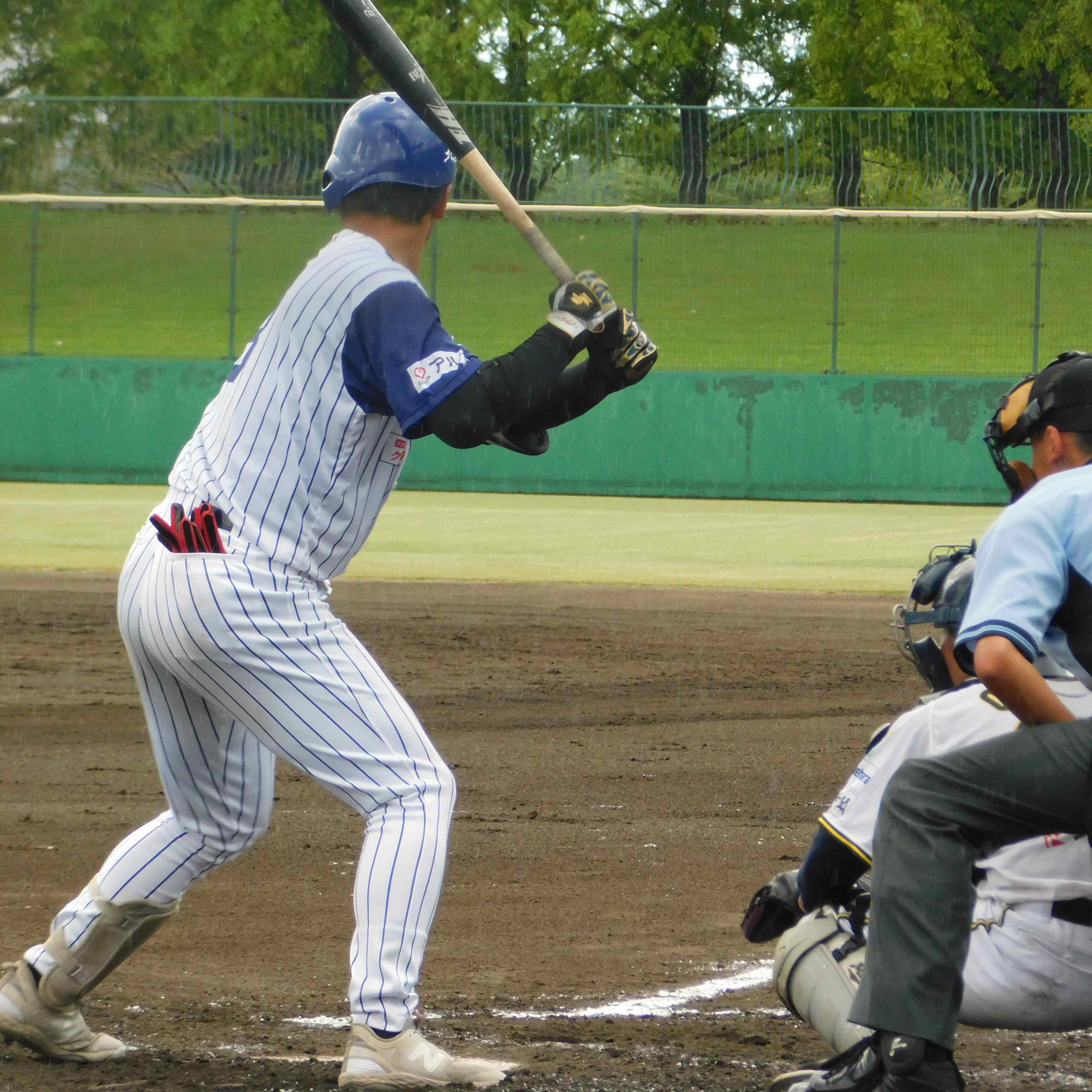 独立リーグ観戦の手引き 2026年