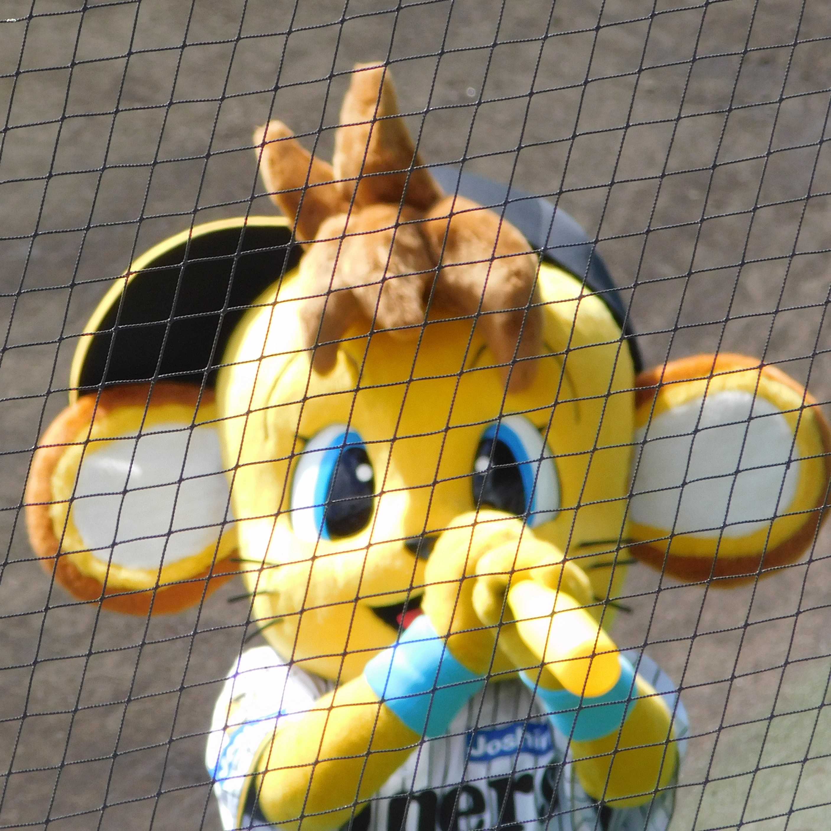 NPBファーム・リーグが開幕 ～三地区制に再編～