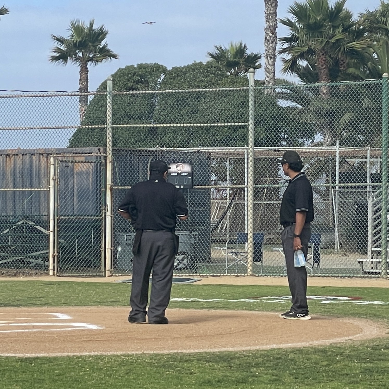 時給8000円でも人手不足？アメリカの高校野球を脅かす審判問題 － 日本人コーチが紹介する米国のスポーツ部活動その23
